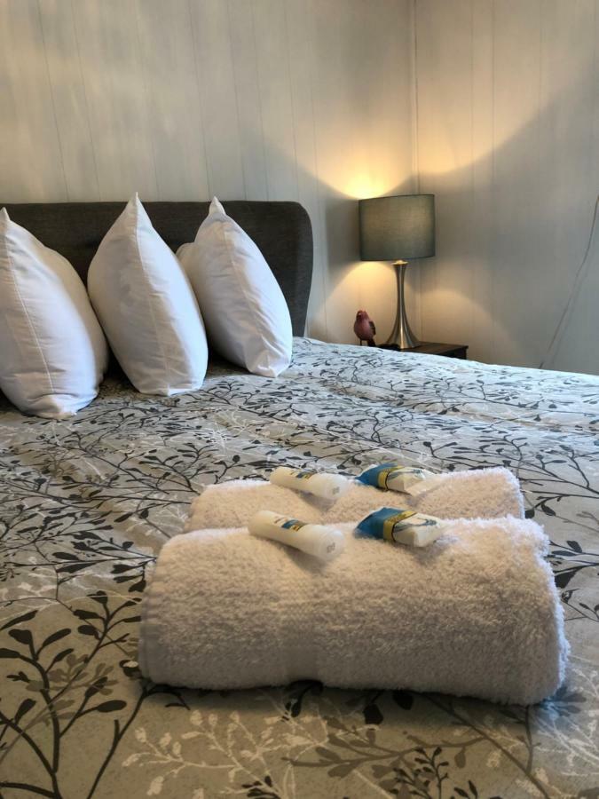 Alma'S Cape Shore Cottage! Your Home Away From Home! Bonavista Bagian luar foto
